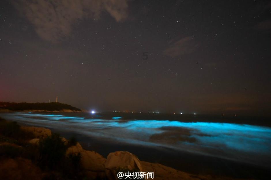 救援受困的小恐龙
